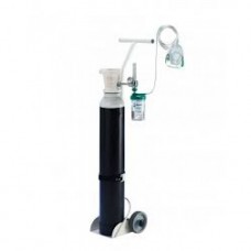 Oxygen Cylinder Rent 